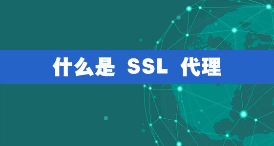 什么是 SSL 代理